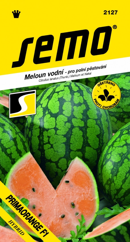 Meloun vodní - Primaorange F1 oranžový 8s