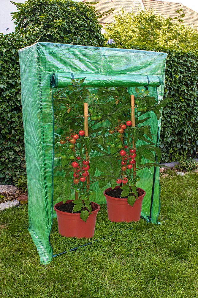 Fóliovník na rajčata TopGreen 100 x 150 x 50 cm BG-F-00704